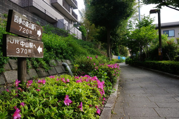 物件裏が公園入口です